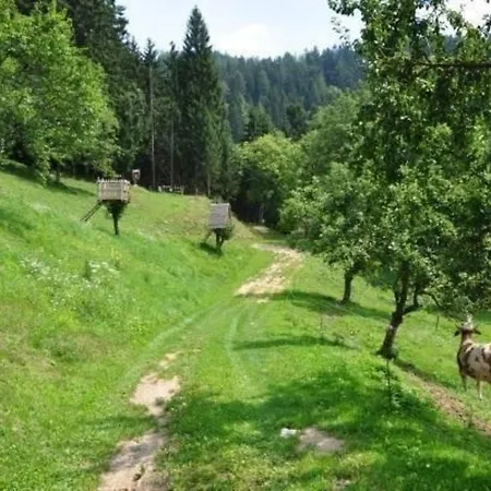 Auszeit In Wolfsberg * Klippitztorl